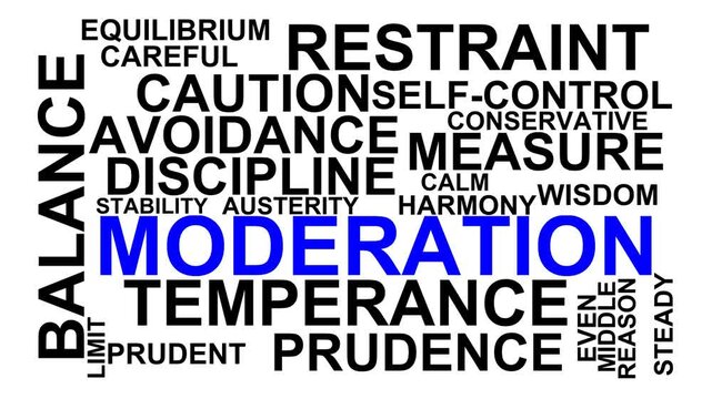 Moderation Word Cloud