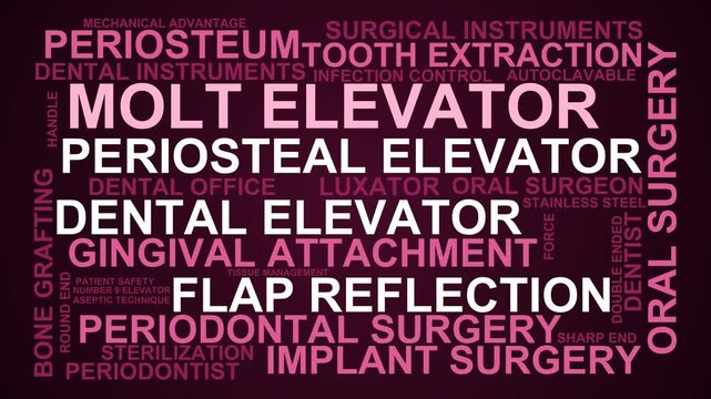 Molt Elevator Word Cloud