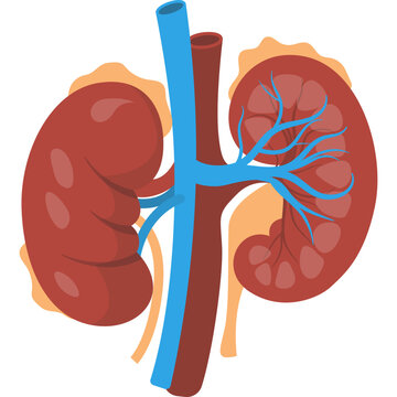 Illustration of World Diabetes Day designation