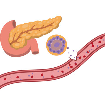 Illustration of World Diabetes Day designation