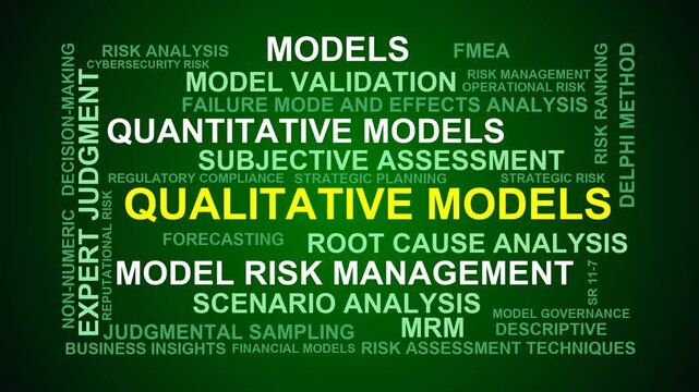 Qualitative Models Word Cloud