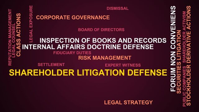 Shareholder Litigation Defense Word Cloud