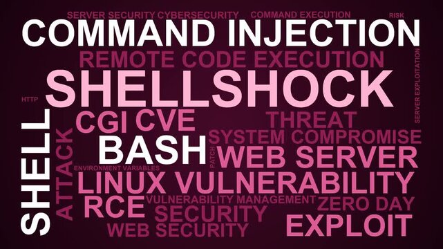 Shellshock Word Cloud