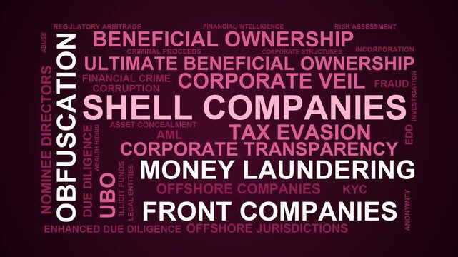 Shell Companies Word Cloud