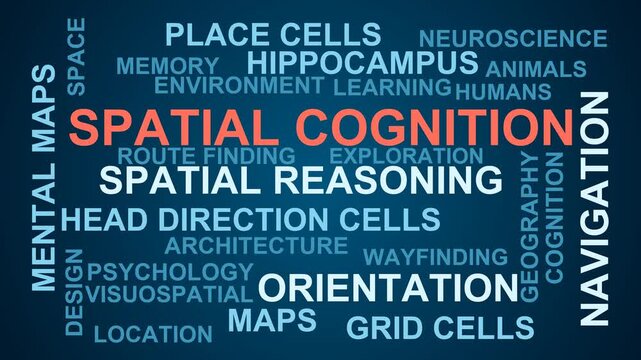 Spatial Cognition Word Cloud