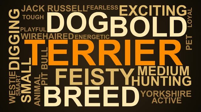 Terrier Word Cloud