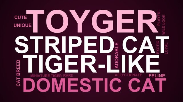 Toyger Word Cloud