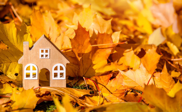 The symbol of the house stands among the fallen autumn leaves
