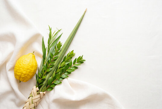 Minimal overhead arrangement of the traditional Four Species of Sukkot on elegant ivory linen.