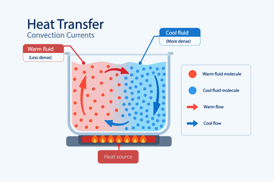 Heat transfer and convection currents, warm and cool fluid molecules energy movement cycle scheme, labeled diagram with heated liquid container, flow arrows and diagram key, vector illustration