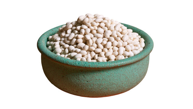 White Navy Beans in Rustic Ceramic Bowl