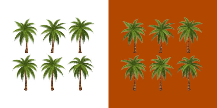 Set of Lush Green Tropical Palm Trees for Summer Beach Landscape Design transparent png
