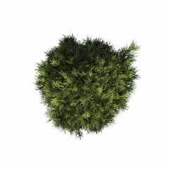 Obraz premium tree, isolated on white background, 3D illustration, cg render