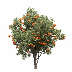 Obraz premium tree, isolated on white background, 3D illustration, cg render