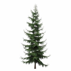 Obraz premium tree, isolated on white background, 3D illustration, cg render