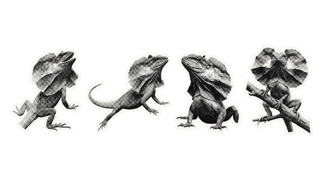 frilled lizard retro halftone set , clean white border outline PNG