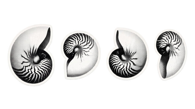 nautilus retro halftone set , clean white border outline PNG