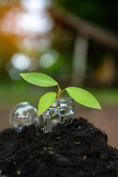 savings, finance, investment, sustainability, and economic growth.