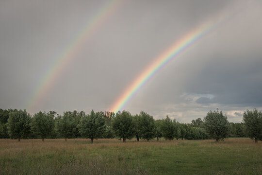double rainbow in the sky above field and trees