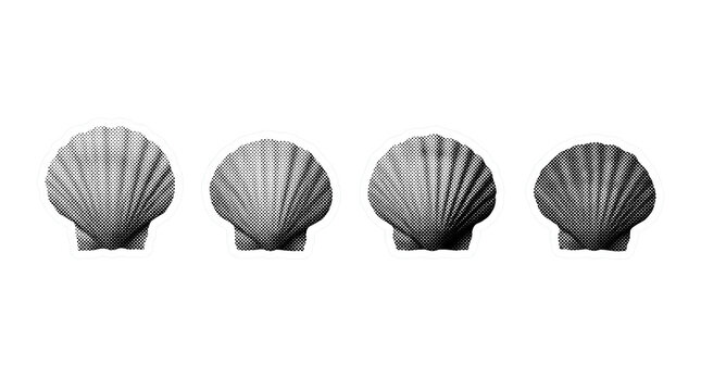 scallop retro halftone set , clean white border outline PNG