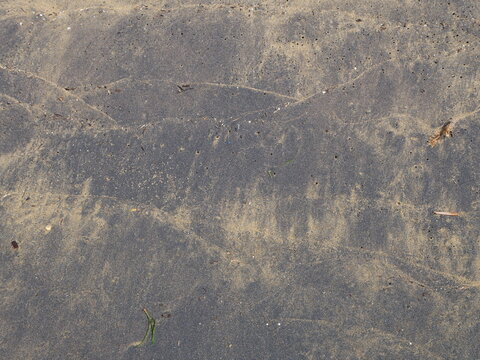 Surface de sable sombre pr&eacute;sentant des motifs naturels, des textures fines et quelques d&eacute;bris organiques, cr&eacute;ant un arri&egrave;re-plan c&ocirc;tier minimaliste.