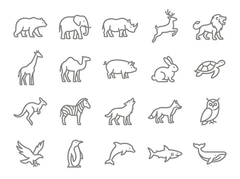 Set of wild animal line icons, collection of zoo and nature creatures in outline style.