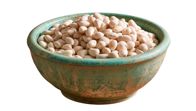 White Navy Beans in Rustic Ceramic Bowl