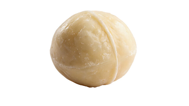 Single smooth beige macadamia nut kernel healthy organic food isolated on transparent background