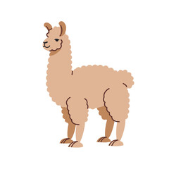 Fototapeta premium Cute Alpaca Cartoon Vector Illustration Isolated on White Background, Adorable Baby Wild Animal Character for Zoo, Safari, Nature, Children, and Fun Design Concepts