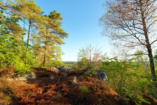 Denecourt Trail 16 on the Telegraph Rock. Fontainebleau Massif	