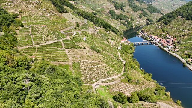 Aerial drone view of Ribeira Sacra vineyards and Sil river canyon