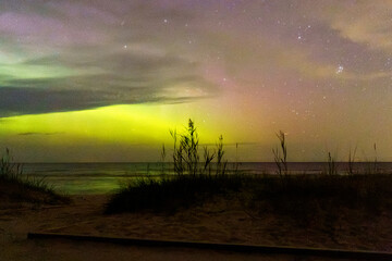 Northern Lights glowing above a sandy beach and sea under a starry night sky, with silhouetted coastal grasses and dramatic aurora colors. © Anna