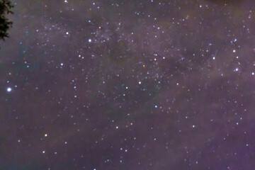 Dreamy starry night sky with scattered stars against a soft purple and blue background. Abstract celestial texture for astronomy, space and nature concepts. © Anna