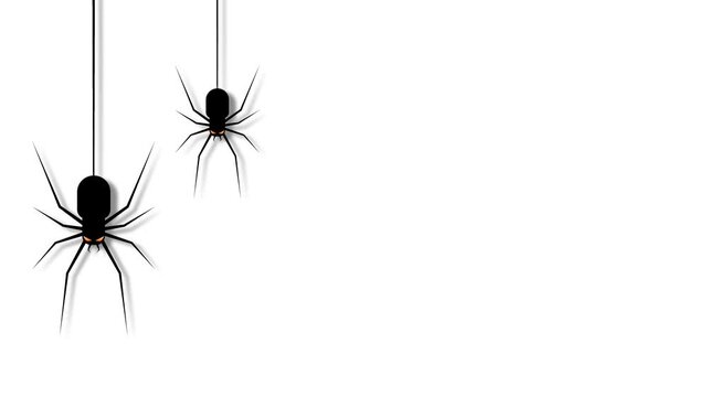 Black Spiders Hanging on Silk Threads Halloween Background Animation.