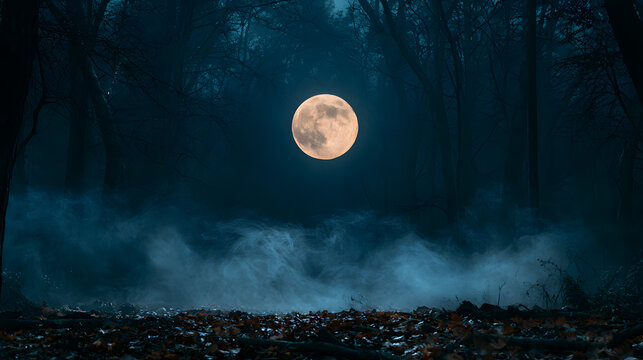 Bright glowing full moon shining through low mist and fog in a dark, mysterious forest at night. Eerie Halloween night landscape, spooky woodland ambiance, and full moon stock photo.