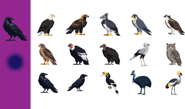 Collection of fifteen dark raptor bird icons featuring raven eagle vulture falcon osprey hawk condor secretary owl crow hornbill cassowary crowned crane banner isolated white