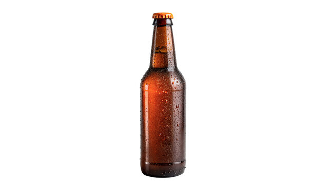 Classic empty brown glass beer or cider bottle packaging mockup isolated on transparent background