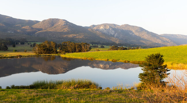 Mountain, Pond and trees with reflection at sunset, Stanford, South Africa