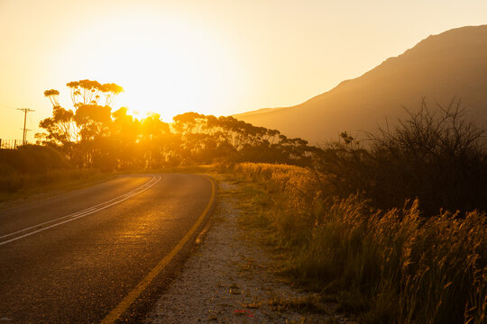 asphalt road and trees at sunset, Stanford, South Africa