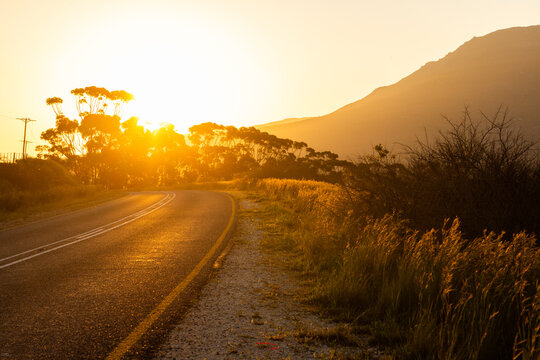 asphalt road and trees at sunset, Stanford, South Africa