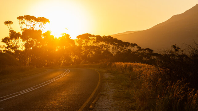 asphalt road and trees at sunset, Stanford, South Africa