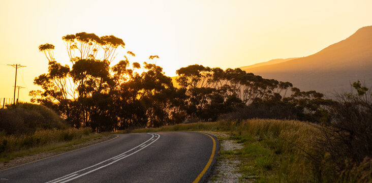 asphalt road and trees at sunset, Stanford, South Africa