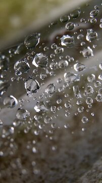 Macro close-up of glittering dew drops caught on a spiderweb against a blurred autumn background. Natural water droplets, morning freshness, and peaceful nature concept