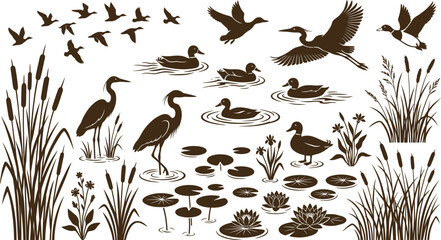 Fototapeta premium Elegant Wetland Birds and Wildlife Nature Illustration with Water Plants