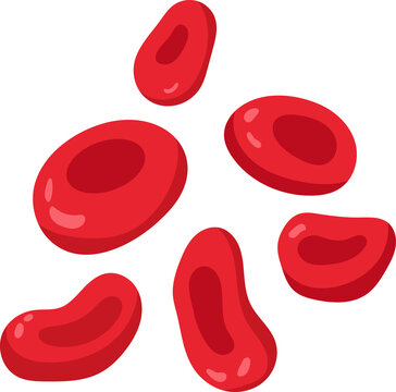 Red Blood Cells, Healthy Blood Cell Vector Illustration