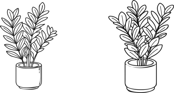 A ZZ plant thrives gracefully in a sleek, minimalist ceramic pot against a pristine white backdrop