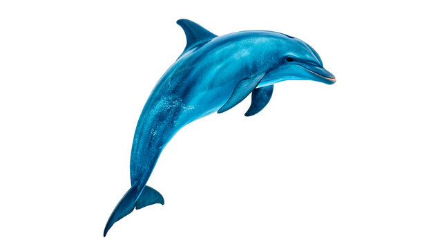 Vibrant blue plastic toy dolphin marine animal figurine isolated on transparent background
