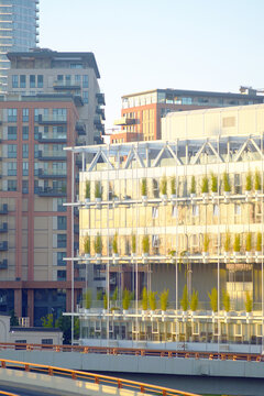 Office building with rows of potted bamboo, residential towers behind. Illustrates innovative green wall implementation, modern architectural vision, and workspace wellness in a mixed-use district.