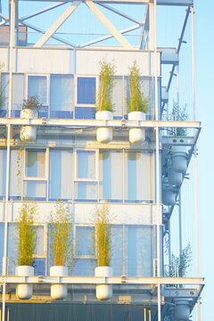 Bamboo and climbing ivy in wall-mounted planters on glass building exterior. Represents space-efficient urban greening, climate-adaptive architecture, living wall system, and nature-based urban design