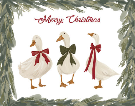 Three Christmas Geese with Bows and Evergreen Frame